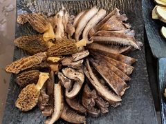 -蘑统田下·野生菌火锅