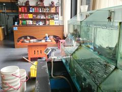 -桃源村铁锅炖鱼(体育馆道店)