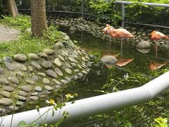 -广东茂名森林公园