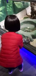 -未来动物城主题公园(正弘城店)
