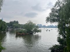 -鹊华居·地道鲁菜·海鲜·融合味(大明湖店)