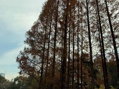 -上海虹桥迎宾馆