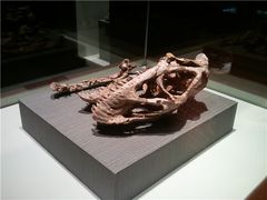 -世界恐龙谷景区