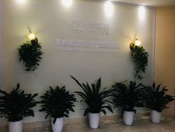 -碧莲盛·不剃发植发