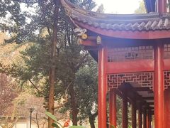 -温江公园