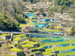 -四明山国家森林公园
