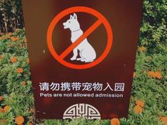 -北湖公园