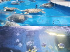 -泉城欧乐堡海洋极地世界