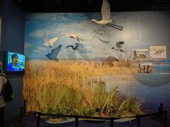 -上海中国航海博物馆