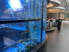 -王家渡火锅店(棕榈泉店)
