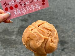 -红楼HONGLOU Gelato(淮海中路店)