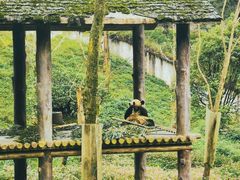 -碧峰峡风景区