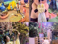 -正佳雨林生态植物园