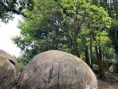 -火炉山森林公园