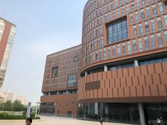 -中国宋庆龄青少年科技文化交流中心