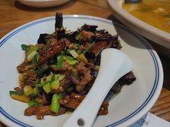 -滇铺子·云南特色菜·第九届野生菌美食节(东风东路c86店)