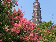 -顺峰山公园