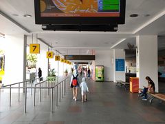 -圣淘沙天际线斜坡滑车