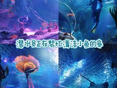 -沈阳海洋探索中心