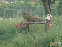 -西安秦岭野生动物园