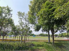 -海宁鹃湖公园