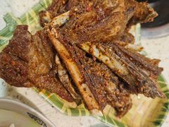 -九寨特色牦牛肉汤锅 羊肉汤锅