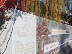 -莲花池公园