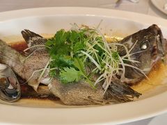 -顺峰(农展馆店)