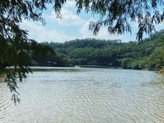 -深圳仙湖植物园