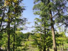 -同里国家湿地公园