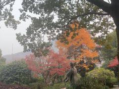 -中国茶叶博物馆(双峰馆区)