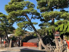 -鎌倉茶々(本店)