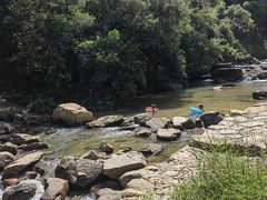 -广州白江湖森林公园