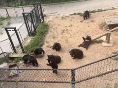 -大连森林动物园