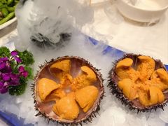 海胆-正黄旗海鲜烧烤大排档(延安路总店)