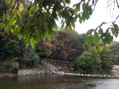 -三块石国家森林公园