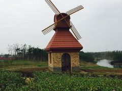 -杭州湾海上花田景区