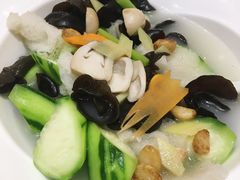 胜瓜竹笙浸木耳-顺德渔村·岭南一号