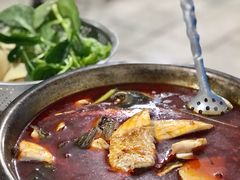 -重庆特色冷锅鱼(武大店)