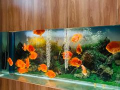 -华夏良子·足道SPA艾灸(王府井店)