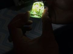 -莫里热带雨林景区