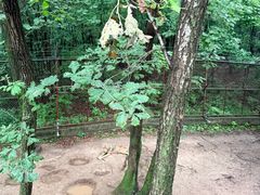 -哈尔滨北方森林动物园