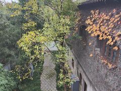 -梅园