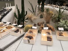 -OUR Bakery(SKP-S店)