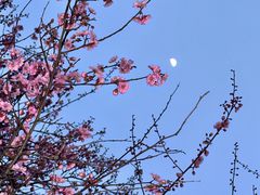 -堤角公园