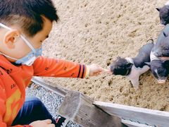 -前小桔亲子创意农场·草莓采摘·露营烧烤