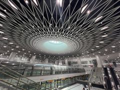 -深圳市当代艺术与城市规划馆