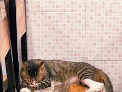 -玉椰林甜品店(创始店)