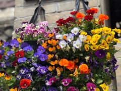 -回龙窝历史文化街区