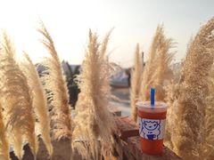 -Blue Concept Cafe&Farm·關於藍